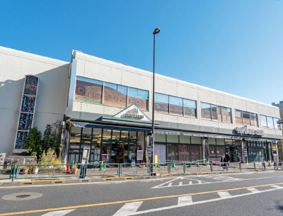 マルエツ　真中店