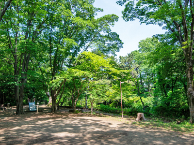 駒場野公園