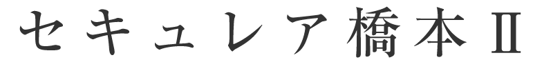 セキュレア橋本II