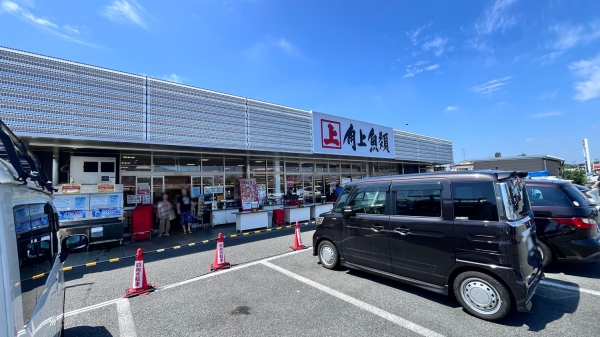 角上魚類 日野店