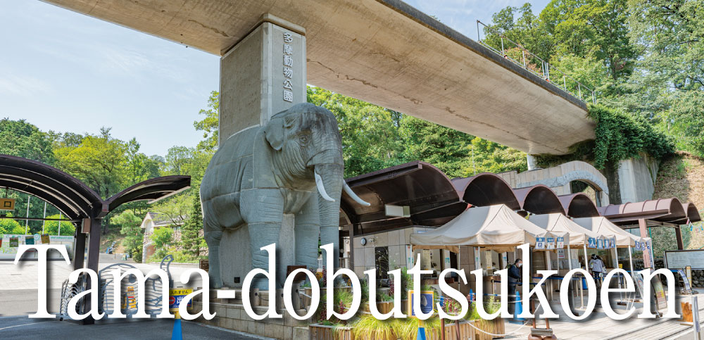 Tama_doubutsukouen