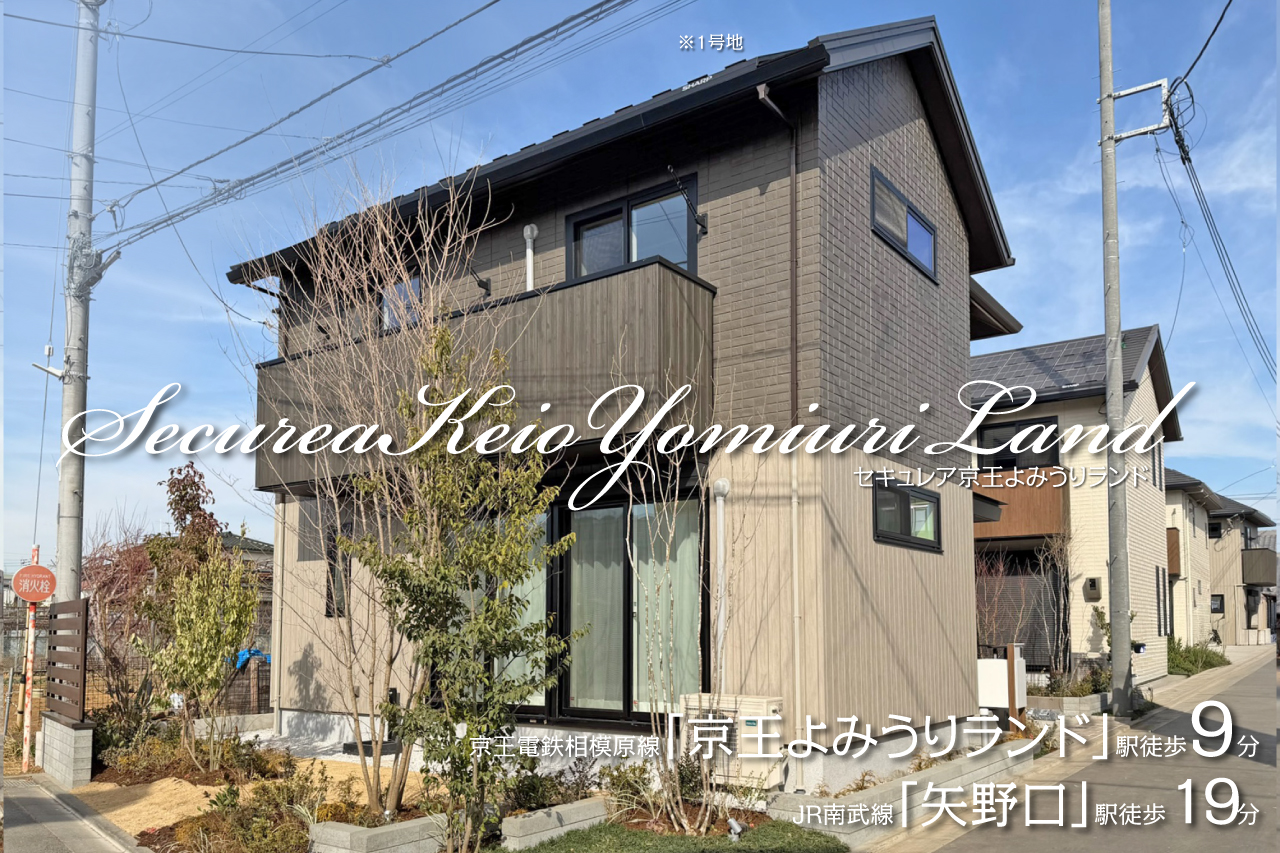 1号地