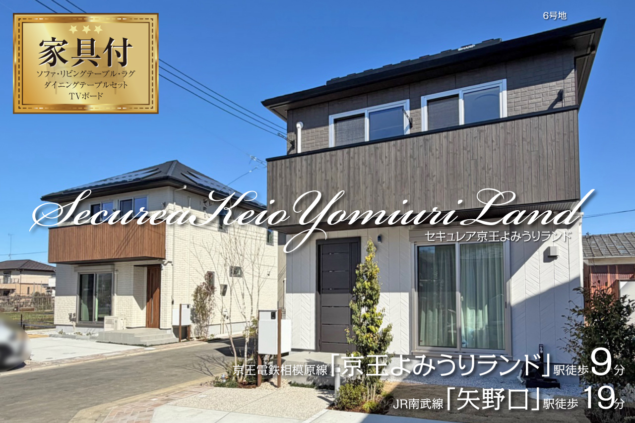 6号地