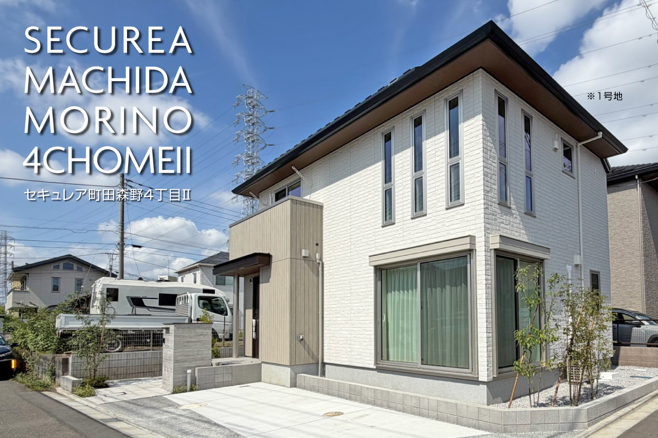 1号地