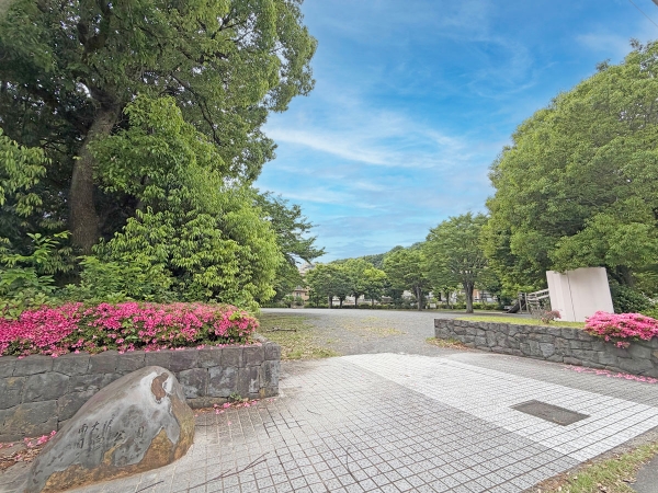 南大沢日向公園