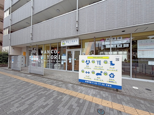 わんこびより