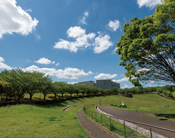 若葉台公園