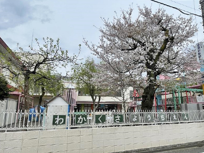 子供の国　若草幼稚園