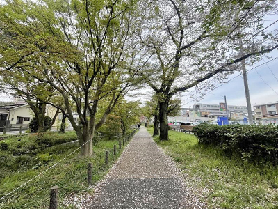 根川緑道
