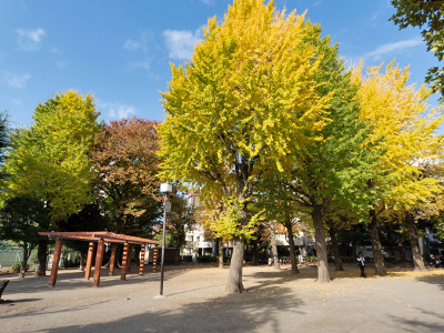 田向公園