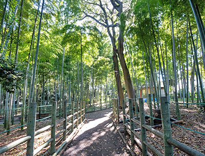 すずめのお宿緑地公園