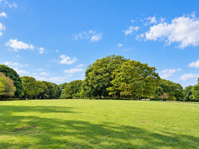 砧公園