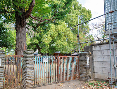 平塚幼稚園