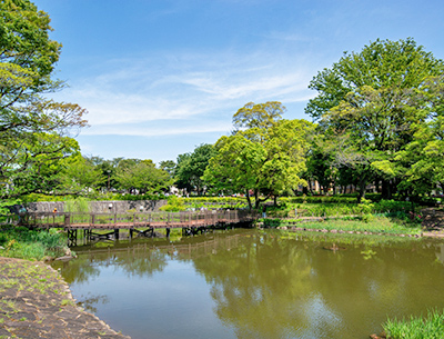 文庫の森
