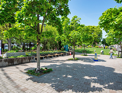 しながわ中央公園