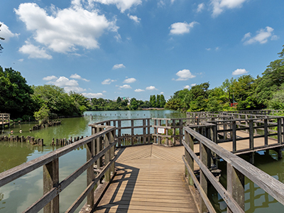 洗足池公園