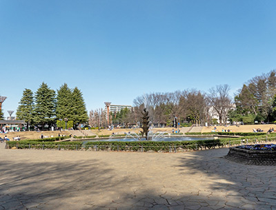 世田谷公園