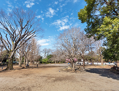 下馬中央公園