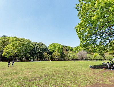 砧公園
