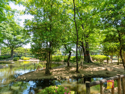 つつじ公園