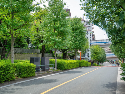 日向坂