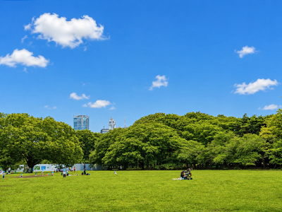 代々木公園
