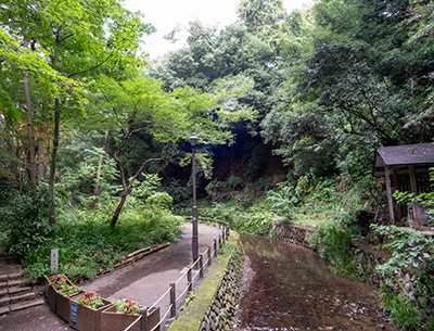 等々力渓谷公園