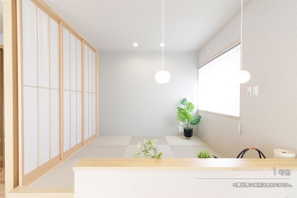 1号地