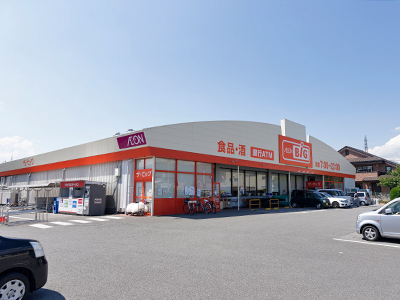 ザ・ビッグ甲斐敷島店