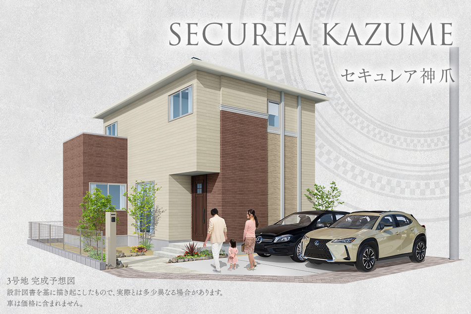 3号地