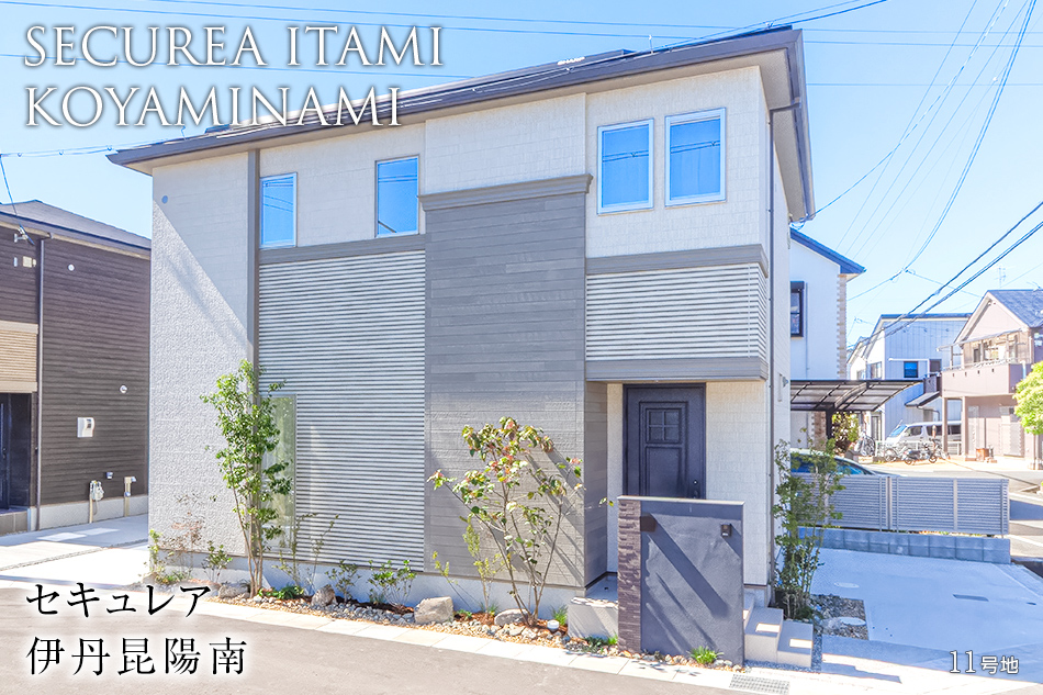 11号地