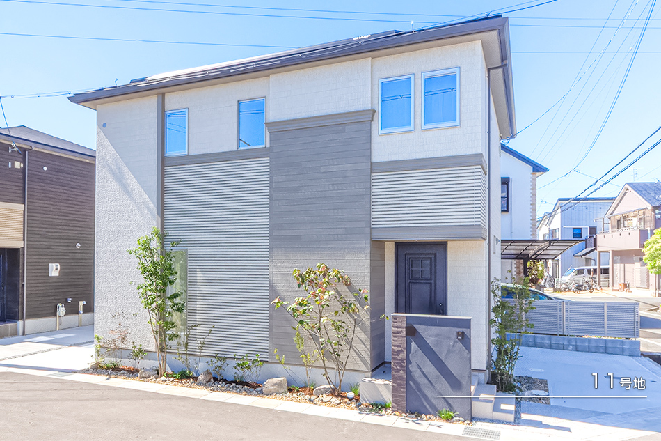 11号地