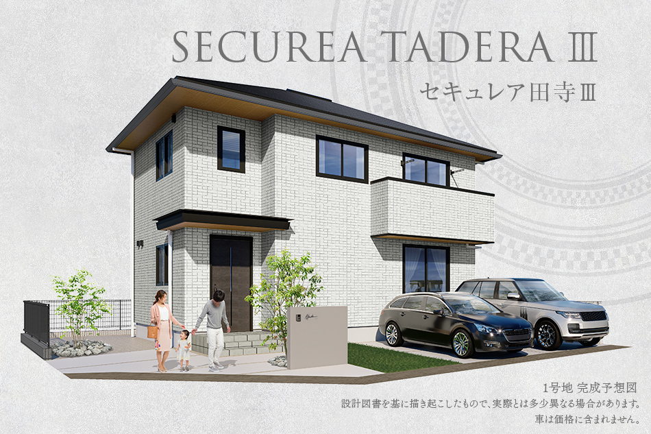 1号地