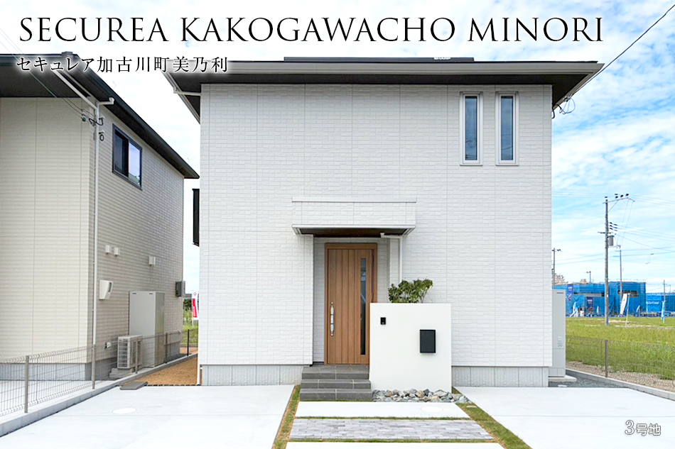 3号地