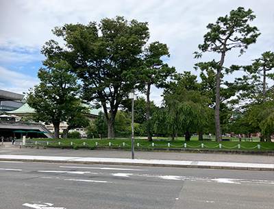 岡崎公園
