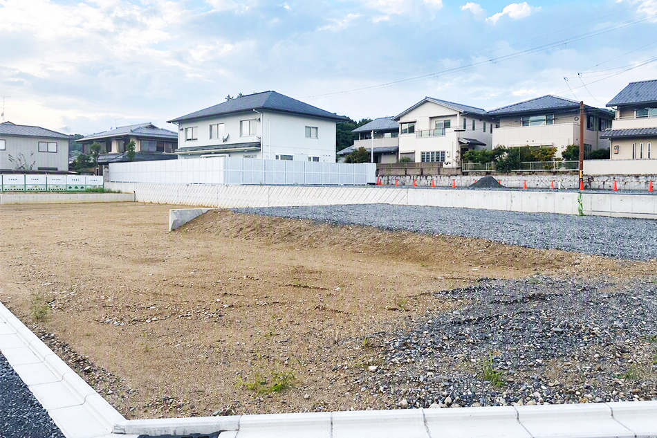3号地