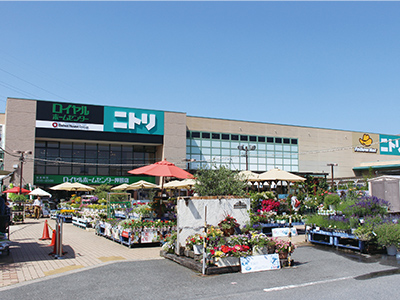 ロイヤルホームセンター押熊店