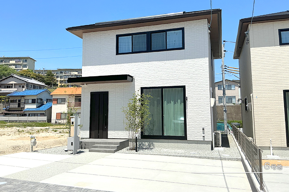 6号地