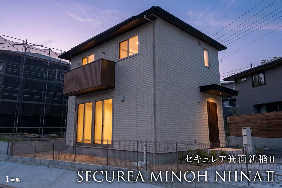 1号地