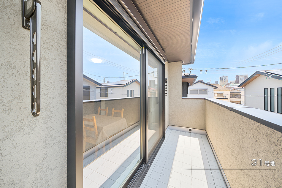 31号地