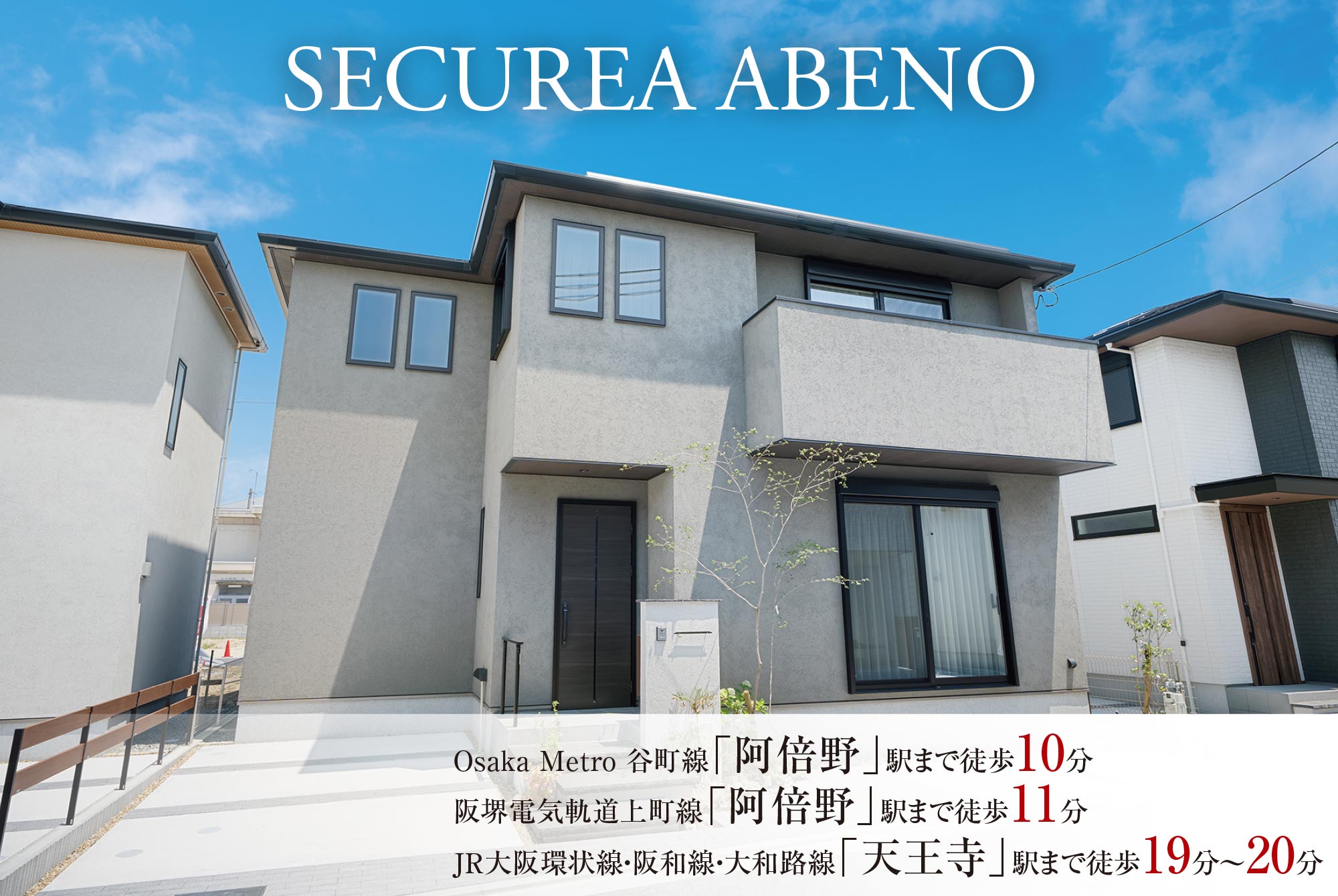 31号地