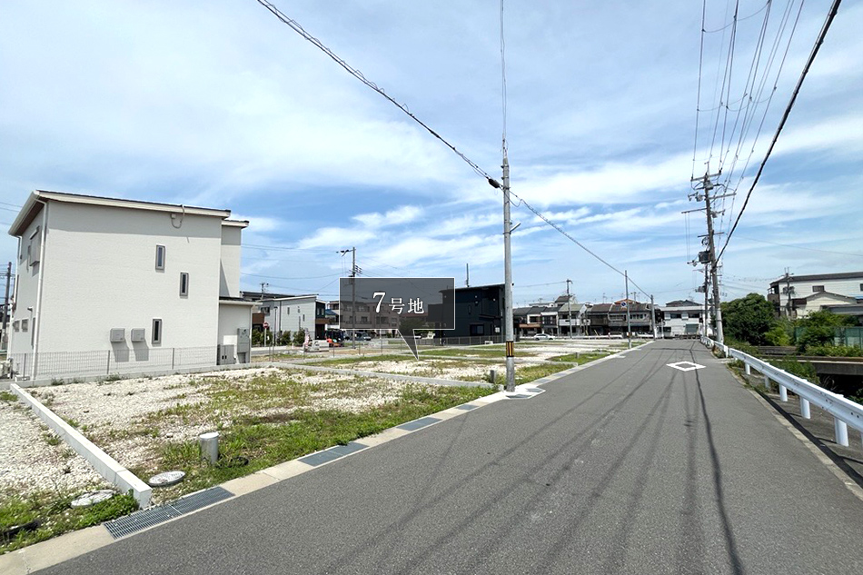 7号地