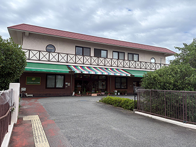 ミモザはまでらこども園