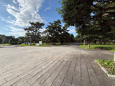 浜寺公園