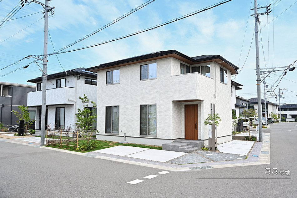 33号地