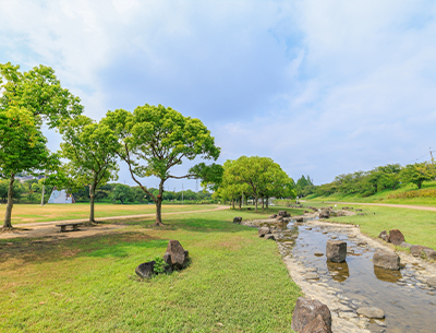 打上川治水緑地
