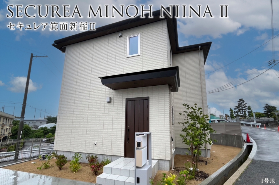 1号地