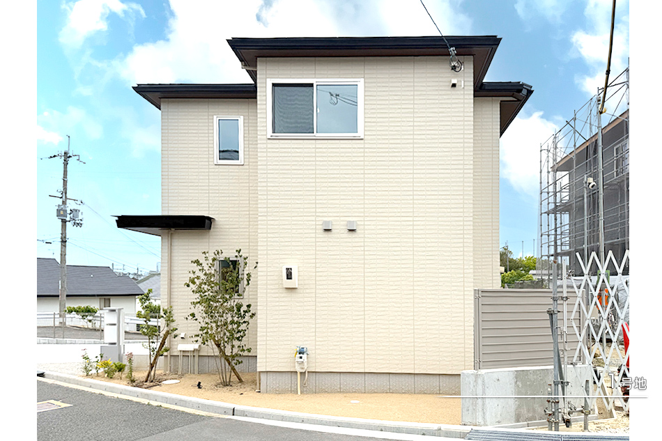 1号地