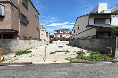 1号地