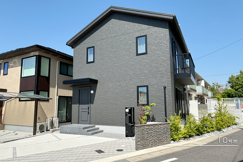 10号地